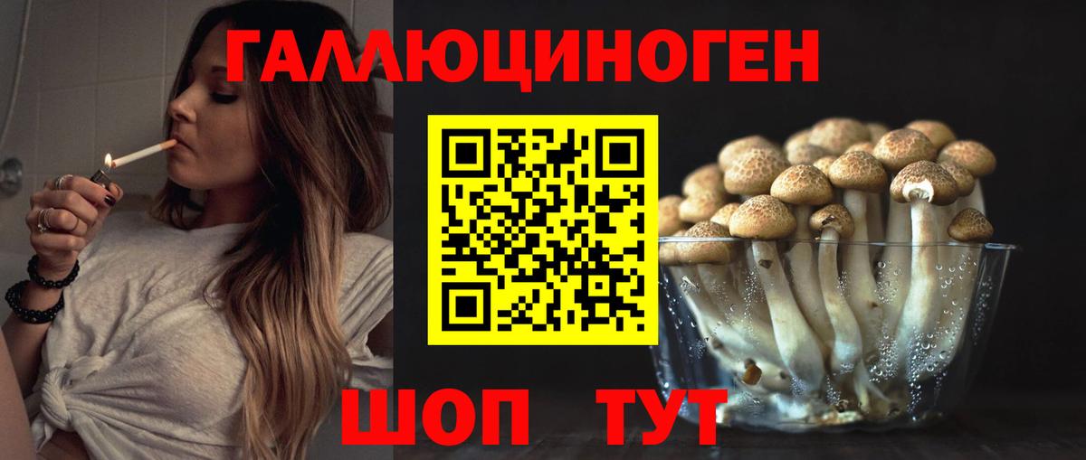 Галлюциногенные грибы мухоморы Осинники